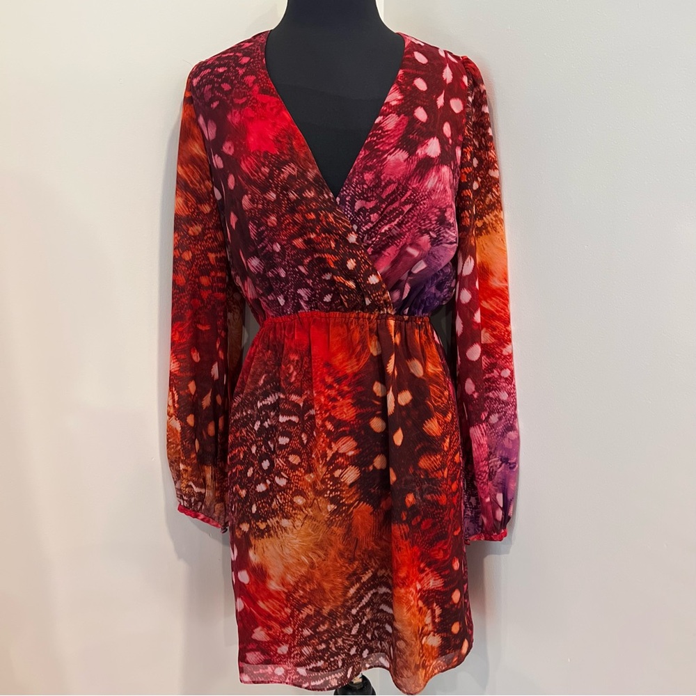 Diane von Furstenberg Style Feather Print
Dress